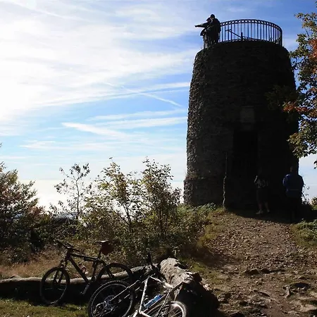 Hotel Hirschenstein 3*