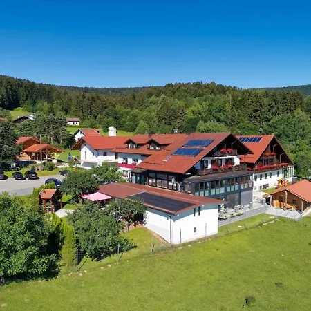 Hotel Hirschenstein 4*