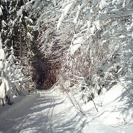 فندق Hirschenstein 4*