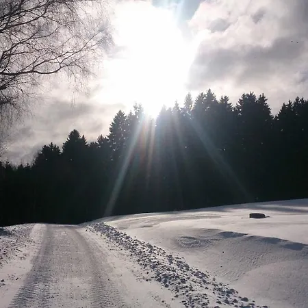 فندق Hirschenstein 4*