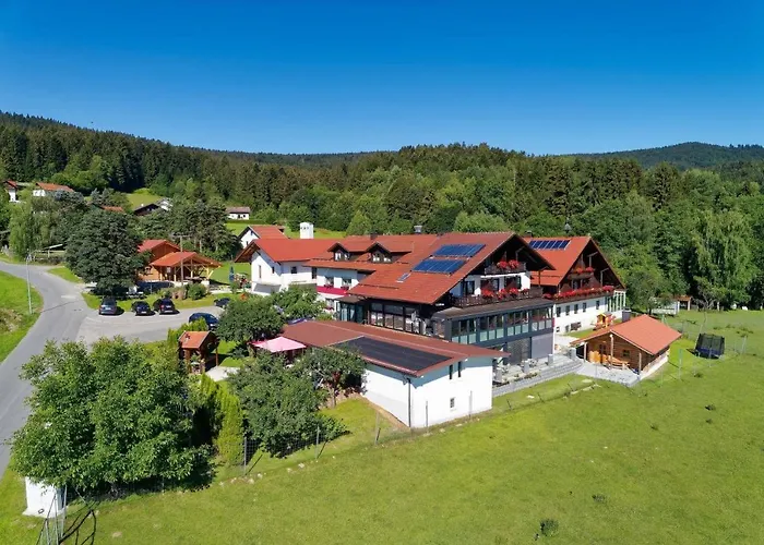 فندق Hirschenstein 4*