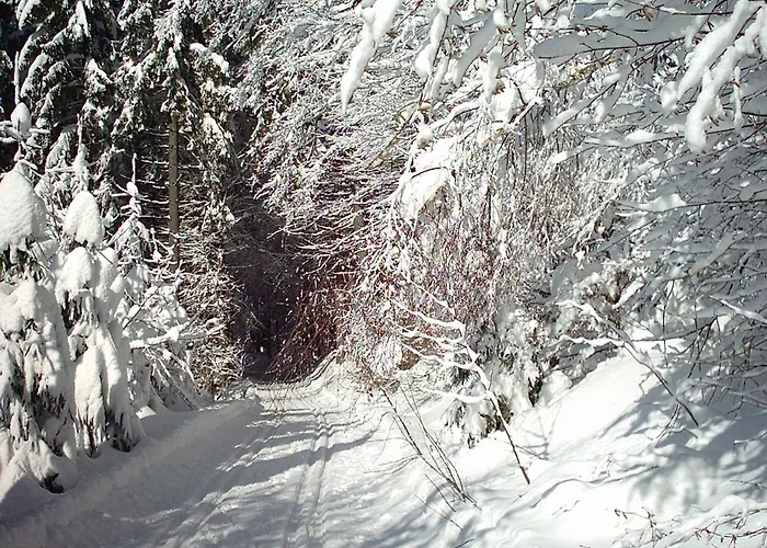 فندق Hirschenstein 4*