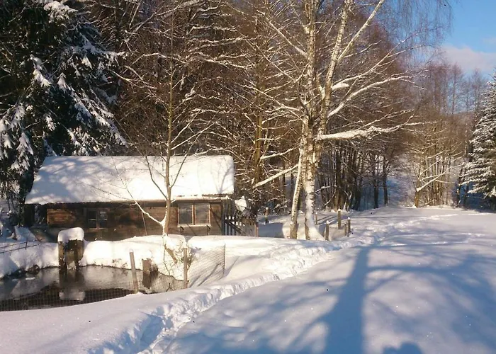 فندق Hirschenstein Achslach